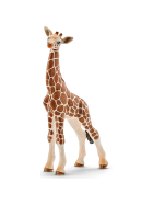 Schleich Giraffenbaby