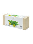 PlanToys Tanzender Alligator/ Krokodil