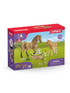 Schleich Set Tierbaby - Pflege & Pferde Quarter Horse