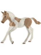 Schleich Paint Horse Fohlen