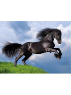 Puzzle black horse, 500 Teile