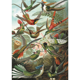 Puzzle Haeckel - Kolibris, 1000 Teile