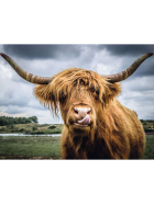 Puzzle Highland Cattle, 300 Teile