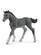 Schleich Trakehner Fohlen