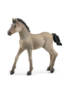 Schleich Criollo Definitivo Fohlen