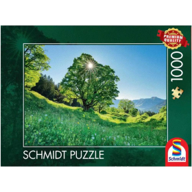 Puzzle Berg-Ahorn im Sonnenlicht St. Gallen, 1000 Teile