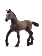 Schleich Paso Peruano Fohlen