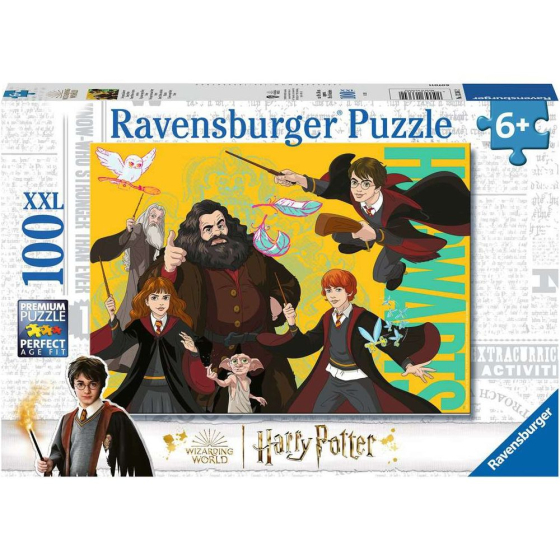 Puzzle Der junge Zauberer Harry Potter, 100 Teile