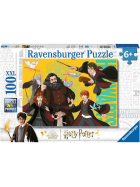 Puzzle Der junge Zauberer Harry Potter, 100 Teile