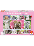 Puzzle Katzenbabies, 100 Teile