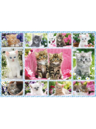 Puzzle Katzenbabies, 100 Teile